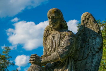 Fototapeta premium Betender Engel