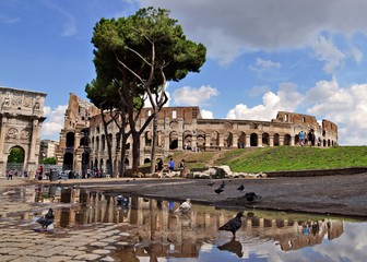 Naklejka premium building of the Roman Colosseum, Italy