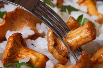 risotto with chanterelles and fork closeup horizontal