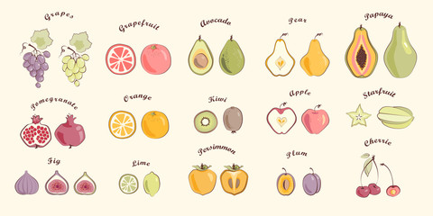 Fruit set in warm colours