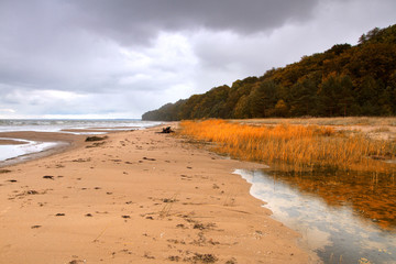 autumn beach of the Baltic Sea