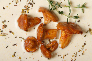 background of cream soup with mushrooms chanterelles