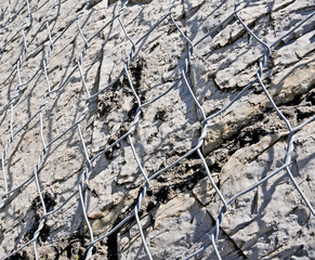 steel net