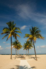 Fototapeta na wymiar Beach, Weg, Palmen, Florida, Sandstrand, Fort Lauderdale,