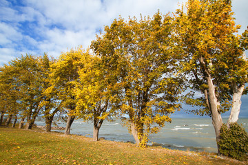 Obraz premium Baltic sea in autumn
