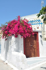 griechischer bungalow mit pinkem bougainvillea