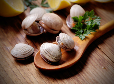vongole sul cucchiaio di legno con prezzemolo e limone