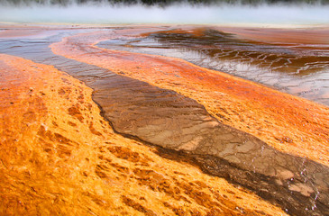 Geothermal activity in Yellowstone