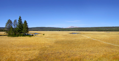 Obraz premium Yellowstone national park