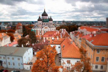 Obraz premium Tallinn autumn tilt-shift