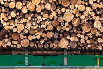 Holztransport, Baumstämme, holzverarbeitende Industrie