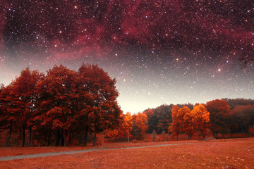 spring night infrared photography. Elements of this image furnis
