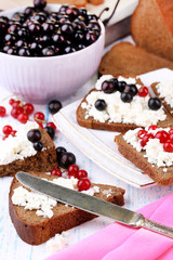 Bread with cottage cheese and berries on plate close-up