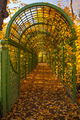 Green arch in autumn park.