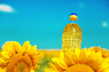 Bottle of oil with sunflower close up