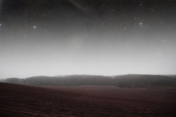 Fototapeta premium night field forest . Elements of this image furnished by NASA