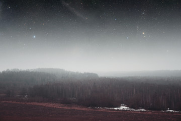 night field forest . Elements of this image furnished by NASA