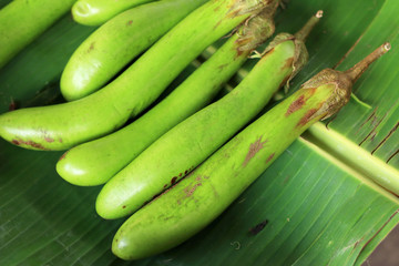 green eggplant in the market