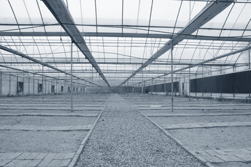 Agricultural greenhouse