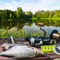 fishing tackle and caught fish on the table