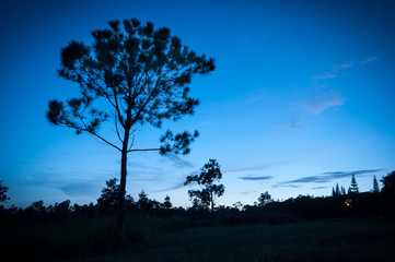 Obraz premium Phu Rua National Park