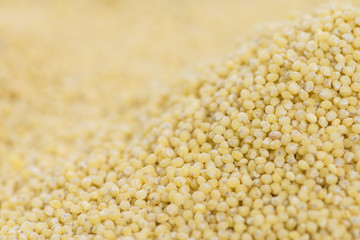 Millet Background