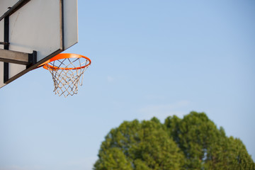 Naklejka premium basketball hoop