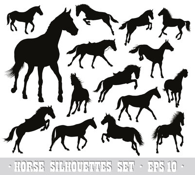 Horses detailed vector silhouettes set.  EPS 10