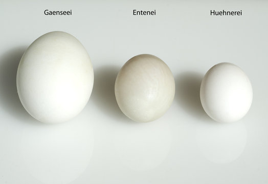 Eiervergleich, Vergleich, Groessenvergleich,