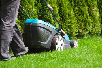 Green grass is mowed lawn mower