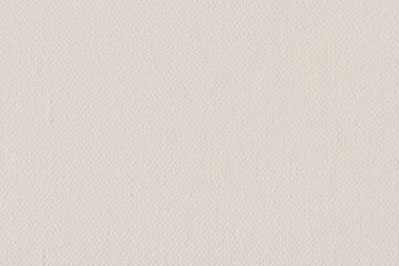 Artist's Cotton Duck Canvas Coarse Texture Sample