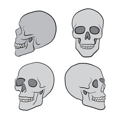 human skulls