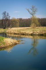 Spring in the parks and forests of Europe