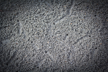 Crab making sand balls on the beach