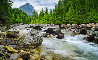 strumień górski w Alpach włoskich - obrazy, fototapety, plakaty