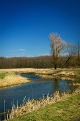 Spring in the parks and forests of Europe