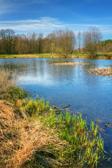 spring landscape HDR