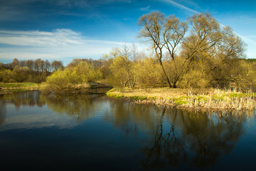 Spring in the parks and forests of Europe