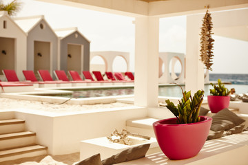 Potted Plants Near Swimming Pool
