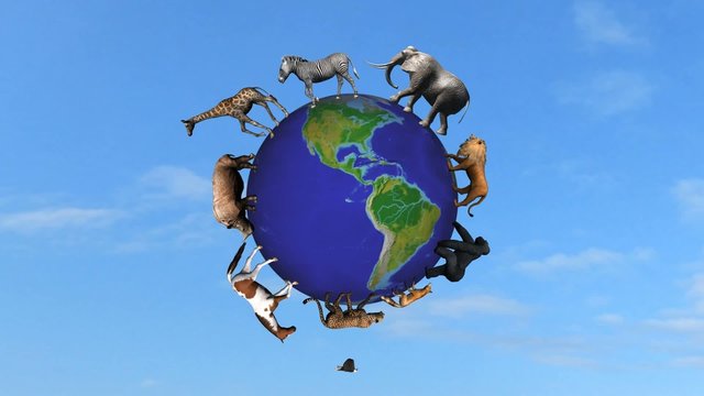 animals circle the world globe