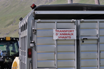 Obraz premium transport d'animaux,remorque,tracteur