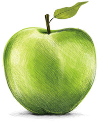 Green Apple Drawing