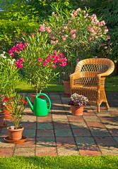 Garden with flowers