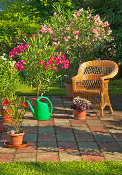Garden with flowers