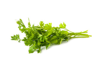 dill isolated on white background