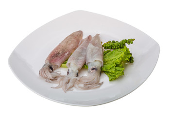 Raw calamari