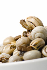 Bowl of snails in garlic, typical plate of Spain and France