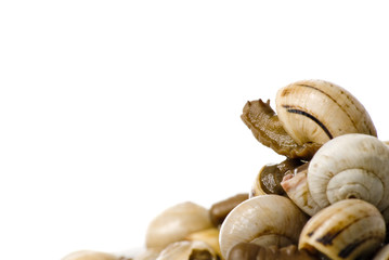 Bowl of snails in garlic, typical plate of Spain and France