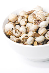 Bowl of snails in garlic, typical plate of Spain and France