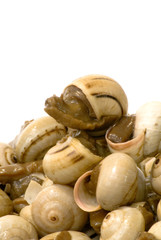 Bowl of snails in garlic, typical plate of Spain and France